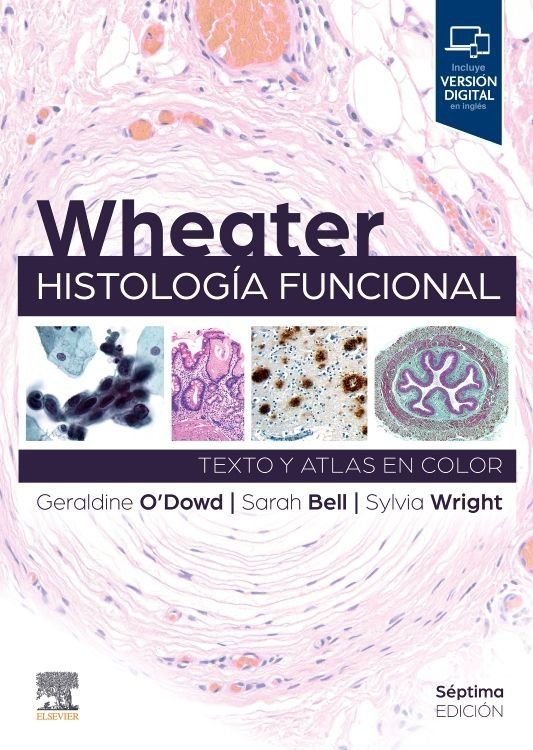 histologia