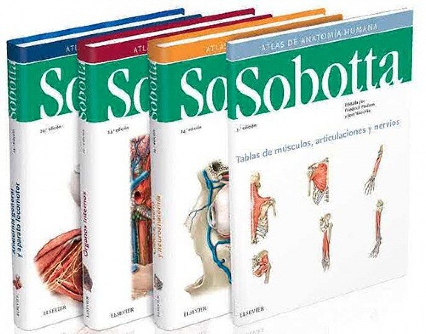 Sobotta3vol