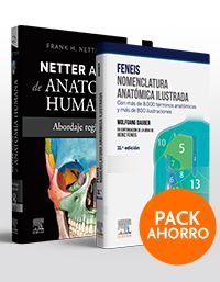 feneis+netter