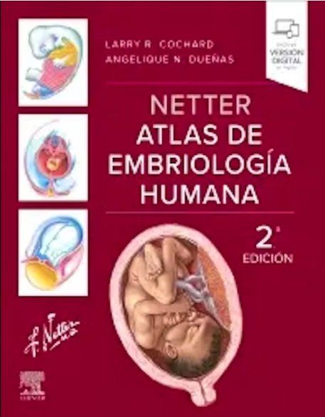 NetterEmbriologia