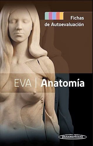 eva laminas