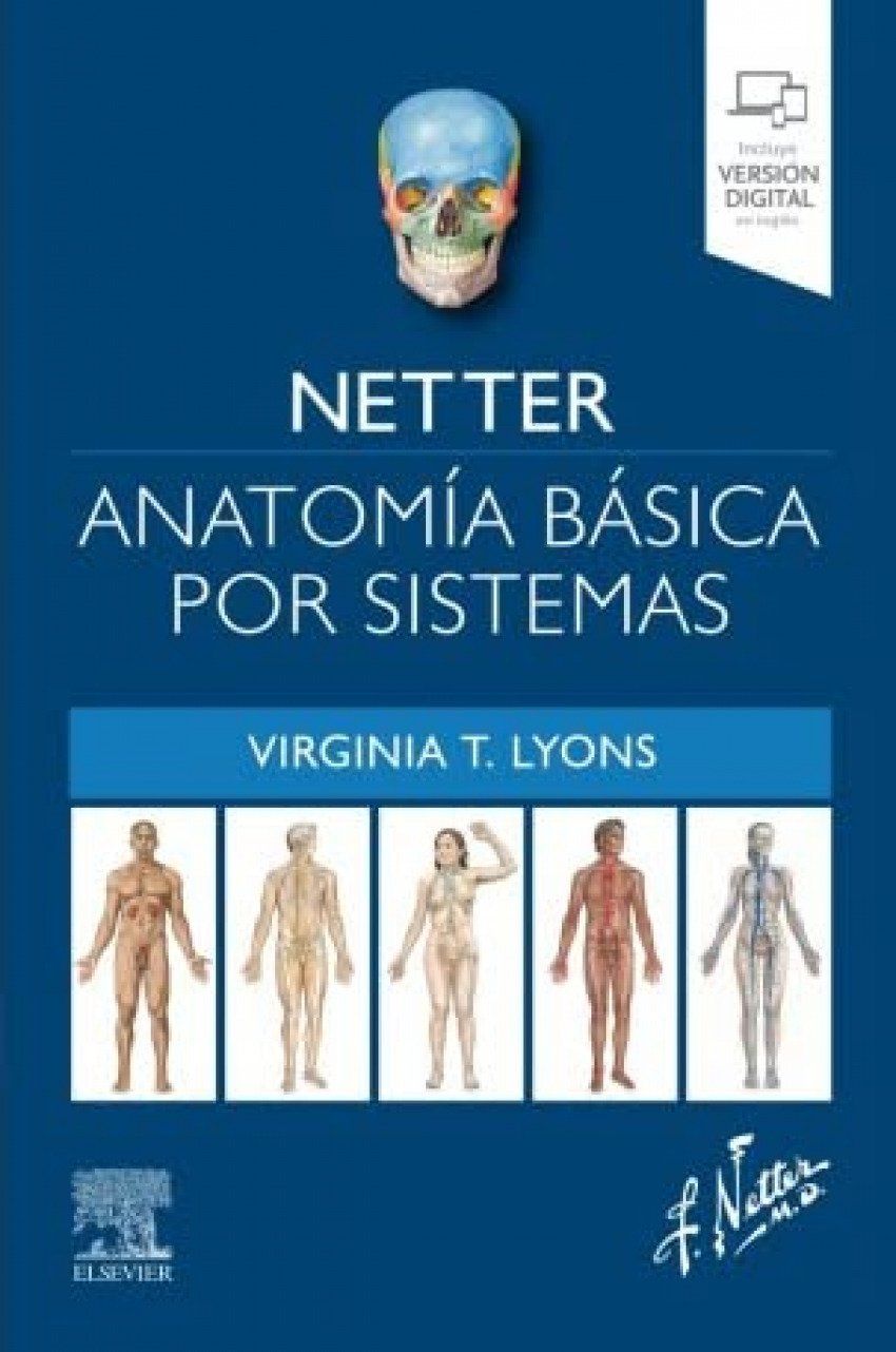 NetterSistemas