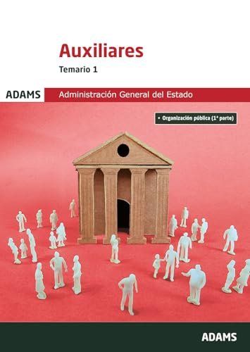 auxiliar 1