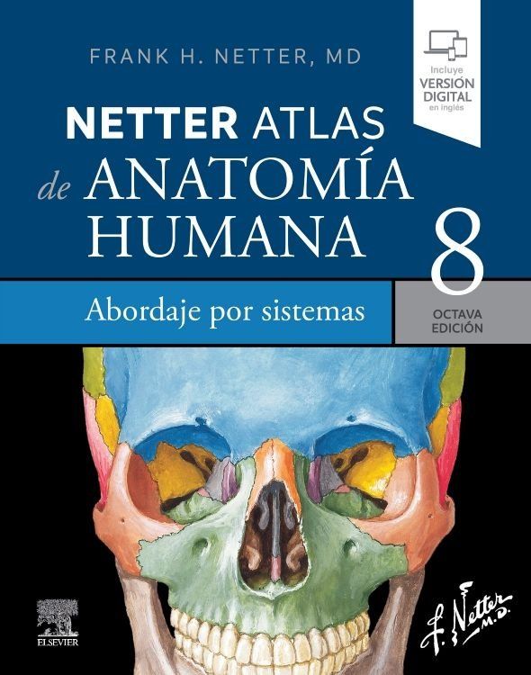 netter atlas