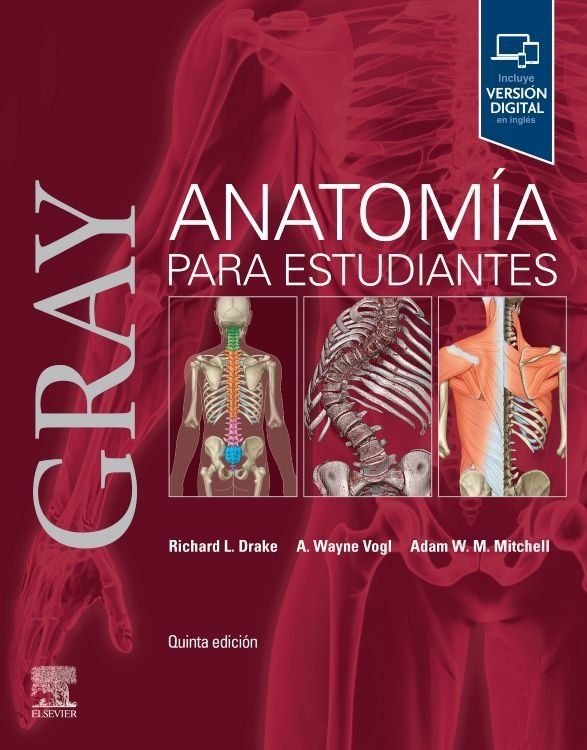 anatomia estudiantes
