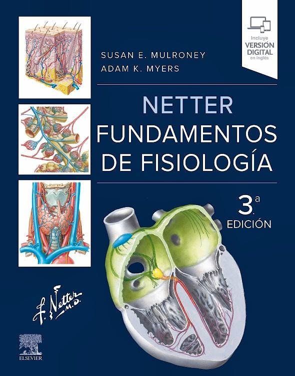 NetterFisiologia