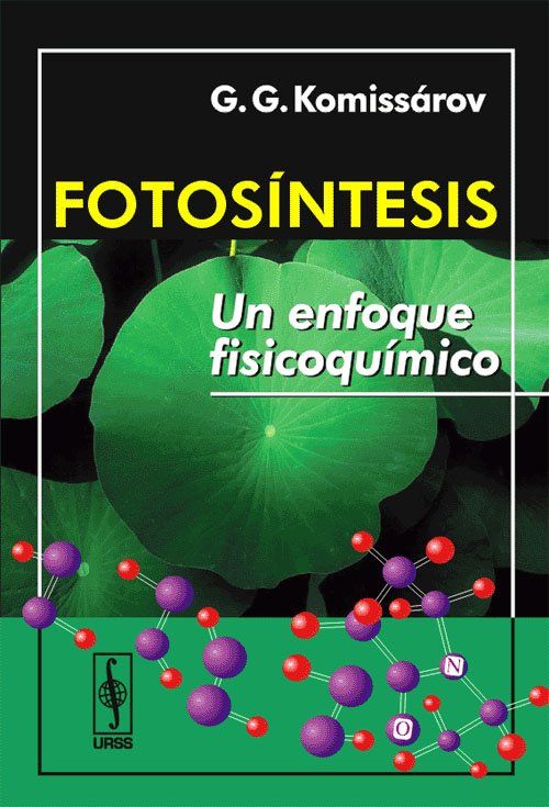 fotosintesis