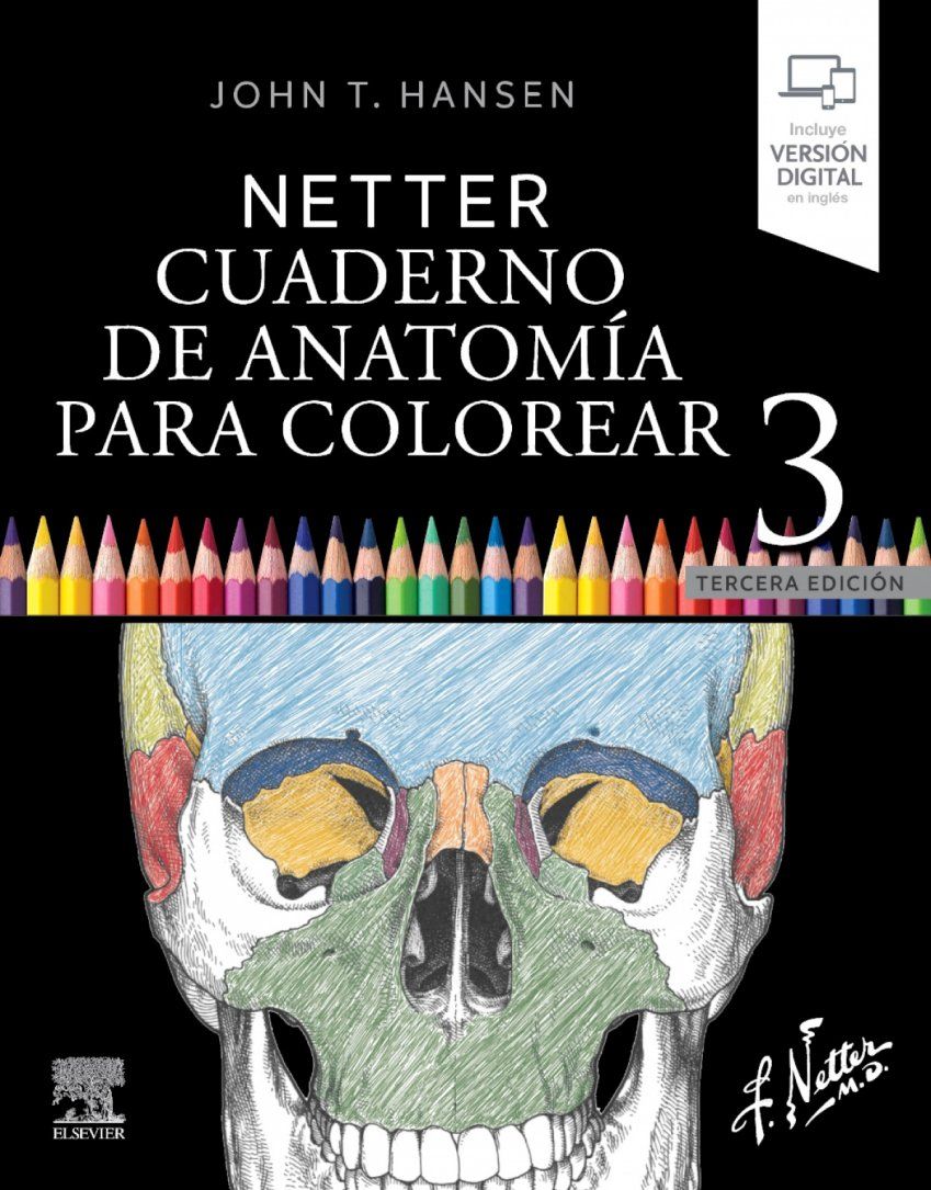 NetterColorear