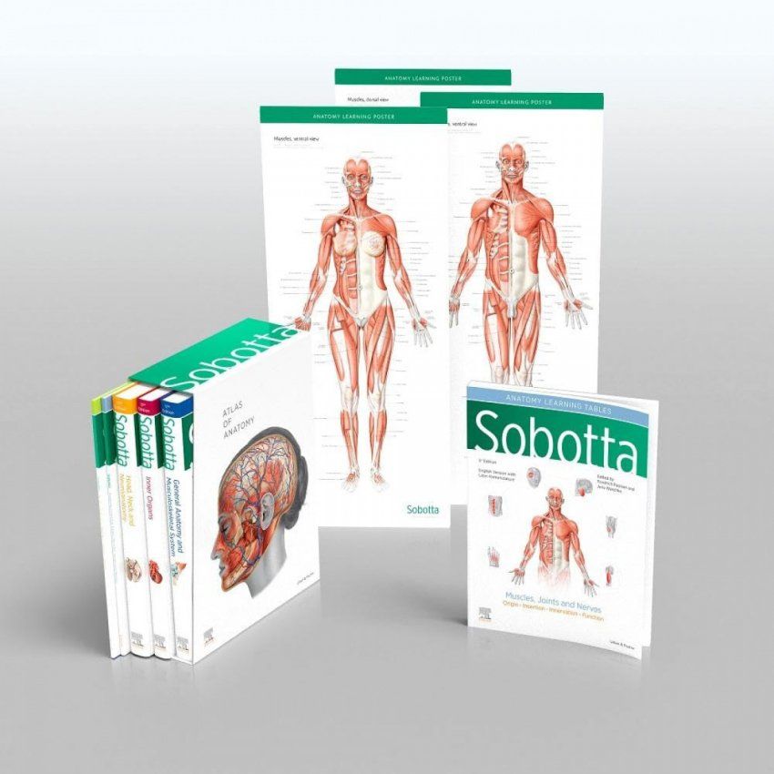 SobottaIngles