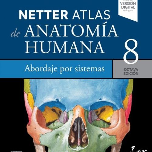 netter atlas