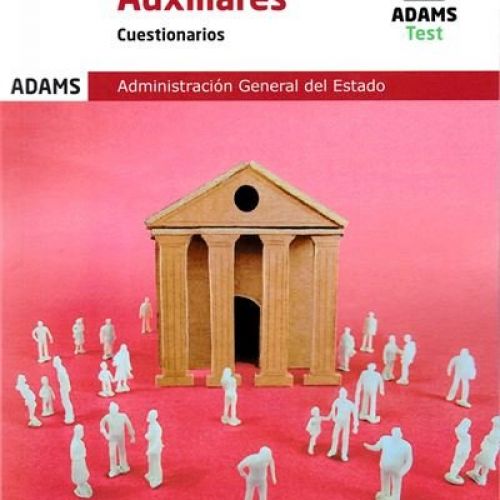 auxiliar cuestionario