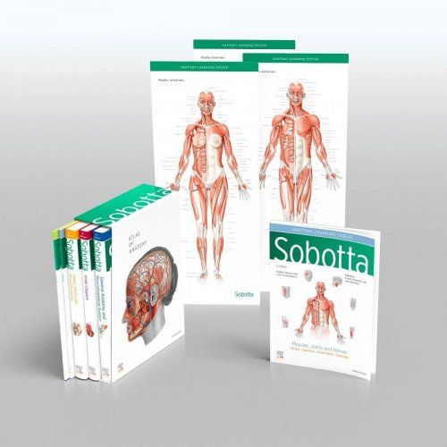 SobottaIngles
