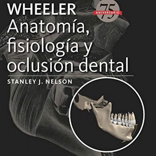 anatomia fisiologia