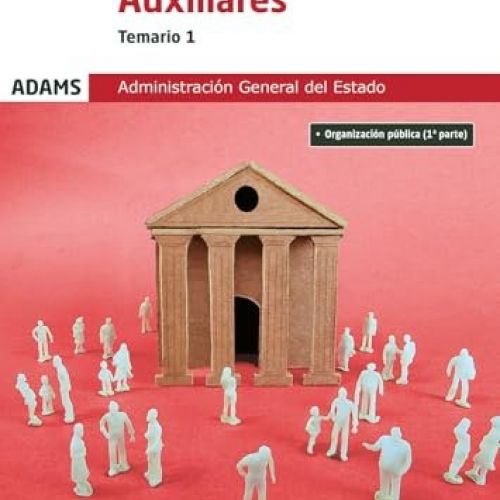 auxiliar 1
