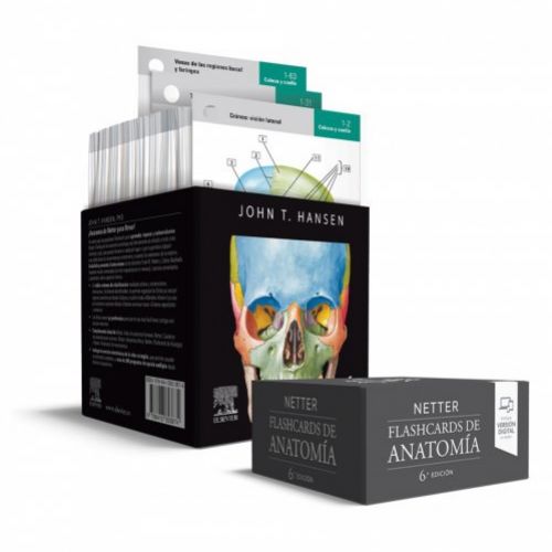 NetterFlashcards