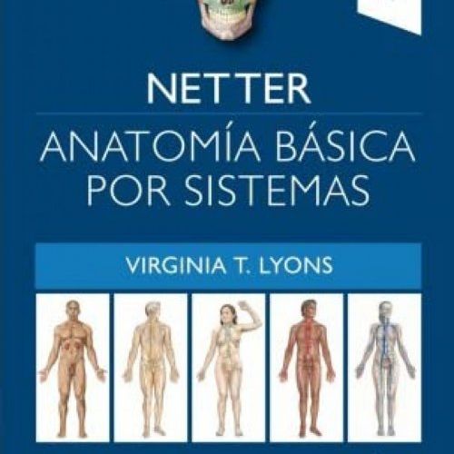 NetterSistemas