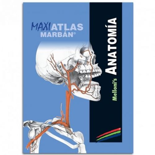 mellonis anatomia