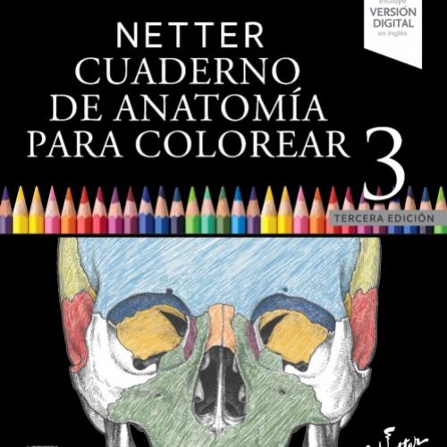 NetterColorear