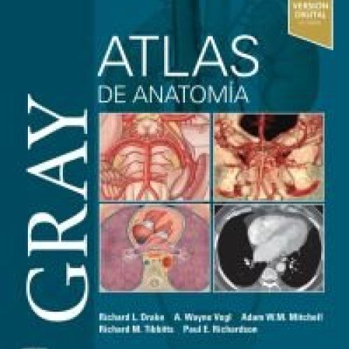 gray atlas
