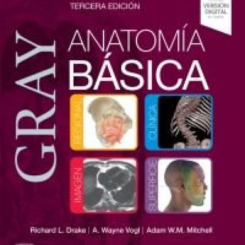 graybas