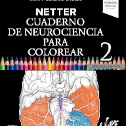 NetterNeurocienciaCol
