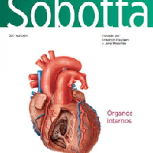 cover sobotta 2