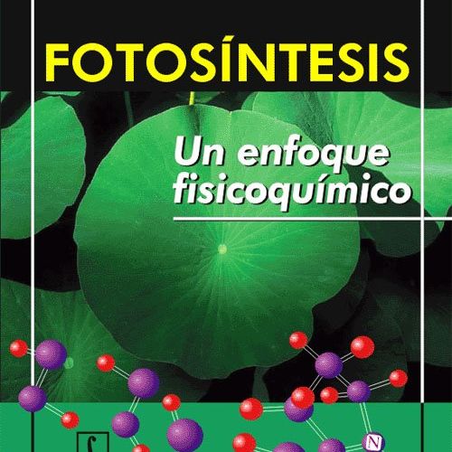 fotosintesis