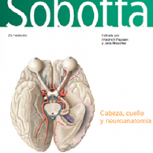 cover sobotta 3