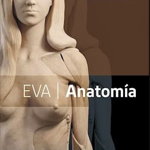 eva laminas