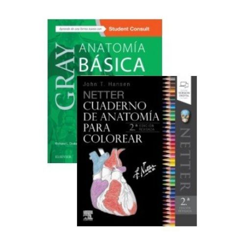lote gray anatomia basica netter cuaderno de anatomia para colorear