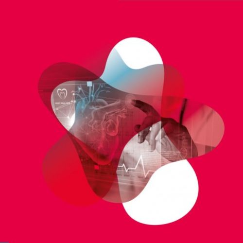 cardiologia