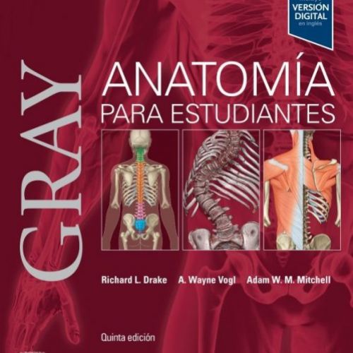 anatomia estudiantes