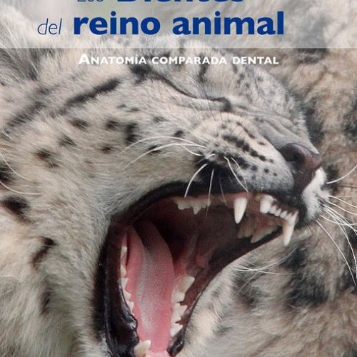 Garcia Palao Dientes reino animal FLEXI 210x300 7eb7d063 5536 4e1e 993f e3b5a3e32214 493x