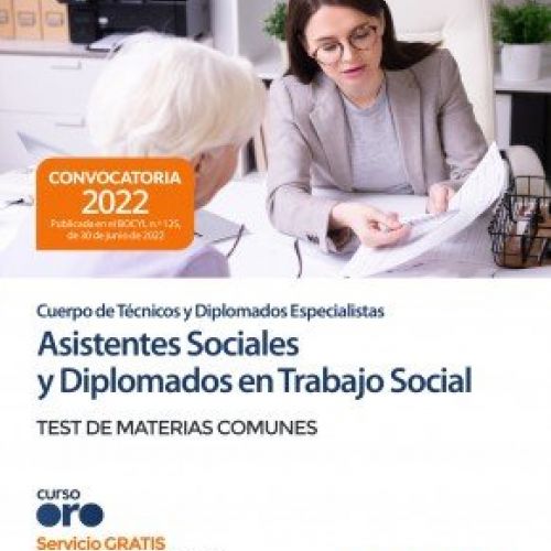 asistentes sociales diplomados trabajo social castilla leon test comun