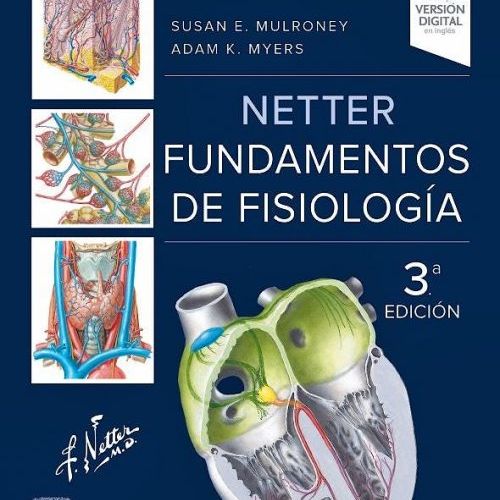 NetterFisiologia