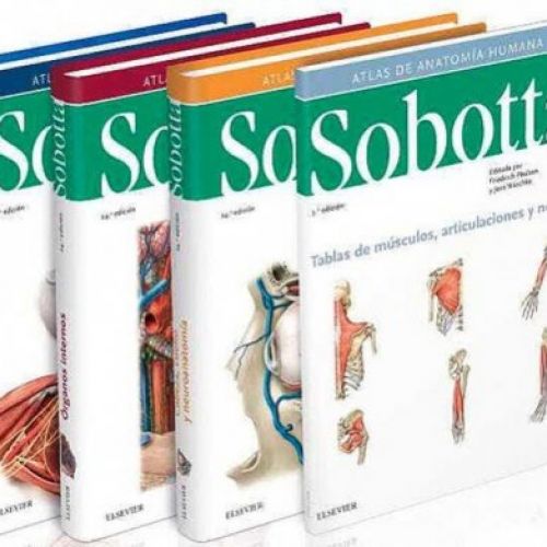 Sobotta3vol