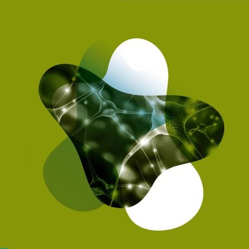 NEURO